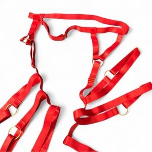 Shimmer Waist Belt
Attached Leg Garters with gold O Rings Strappy